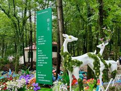 -洛阳白云山景区