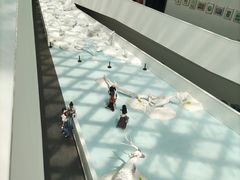 -中国湿地博物馆