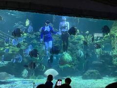 -南昌海洋公园