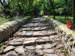 -阳台山自然风景区