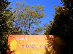 -汉景帝阳陵博物院
