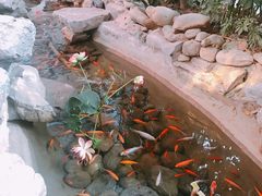 -森谷美食公园(杨行店)