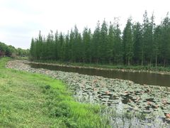 -艾溪湖湿地公园