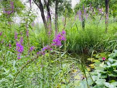 -青州市云门山风景区