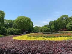 -苏州金鸡湖大酒店