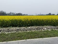 -中国天府农业博览园