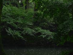 -虎跑公园
