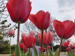 -上海植物园-4号门售票处