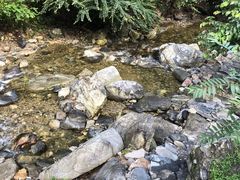 -少华山国家森林公园