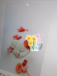 -玛瑞莎孕婴童摄影到家拍
