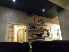 -吱咖啡西式简餐