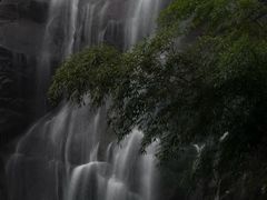 -大围山国家森林公园