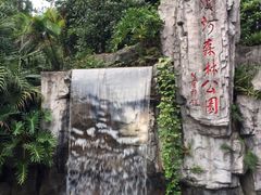 -广州市流溪河国家森林公园