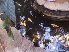 IMG_20130504_160645-绿色时代大酒店