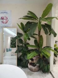 -健身堂科技美肌SPA