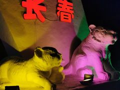 -长春公园(普阳街道)