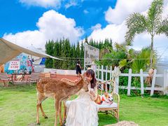 -Blue Concept Cafe&Farm·關於藍
