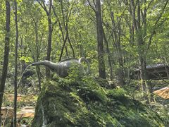 -牛背梁国家森林公园