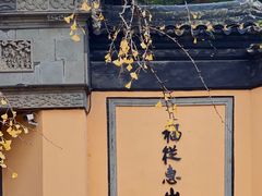 -惠山古镇·寄畅园