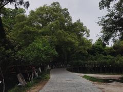 -桂林灵渠景区
