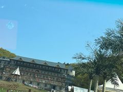 -金石滩蓝莓谷庄园