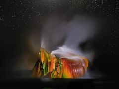 -罗红摄影艺术馆