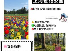 -上海山野camping·户外天幕烧烤·团建拓展营地