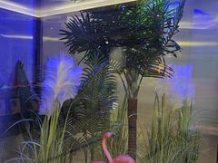 -阿斯牛牛·凉山菜(新会展店)