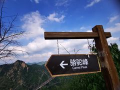 -大岭沟猕猴桃谷风景区