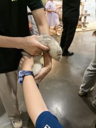 -Zoolung Zoolung动物主题公园(海信广场店)