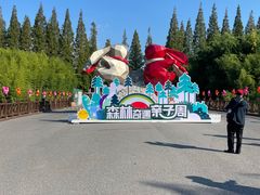 -黄海国家森林公园