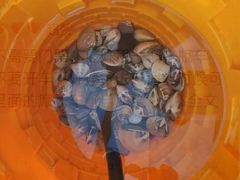 -北海金海湾红树林生态旅游区