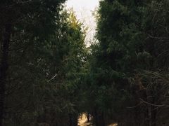 -南翠屏公园