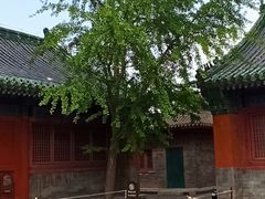 -历代帝王庙博物馆