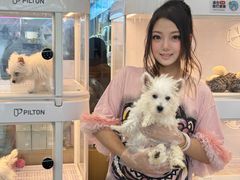 -翊宠yipet猫狗购宠庄园