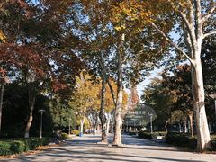-泰州凤城河风景区-泰山公园