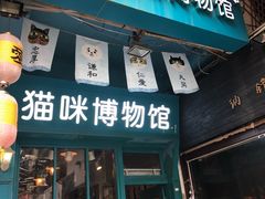 -猫咪博物馆(顶澳仔猫街店)