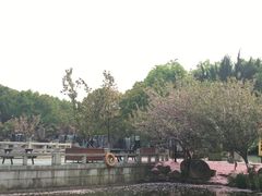 -白马涧龙池景区
