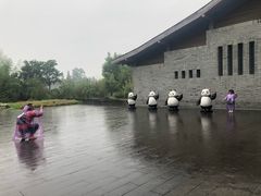 -都江堰中华大熊猫苑