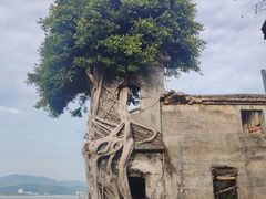 -东平洲海岸公园