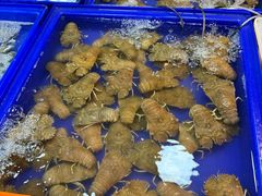 -芭提雅海鲜市场