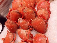 -安蒂娅·海鲜自助餐厅(安蒂娅美兰酒店)