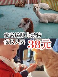 -萌宠亲子动物乐园(槐房万达店)