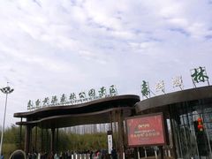 正门口-黄海国家森林公园