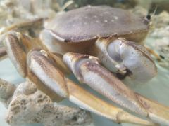 -黄商生活超市(黄冈黄州万达店)