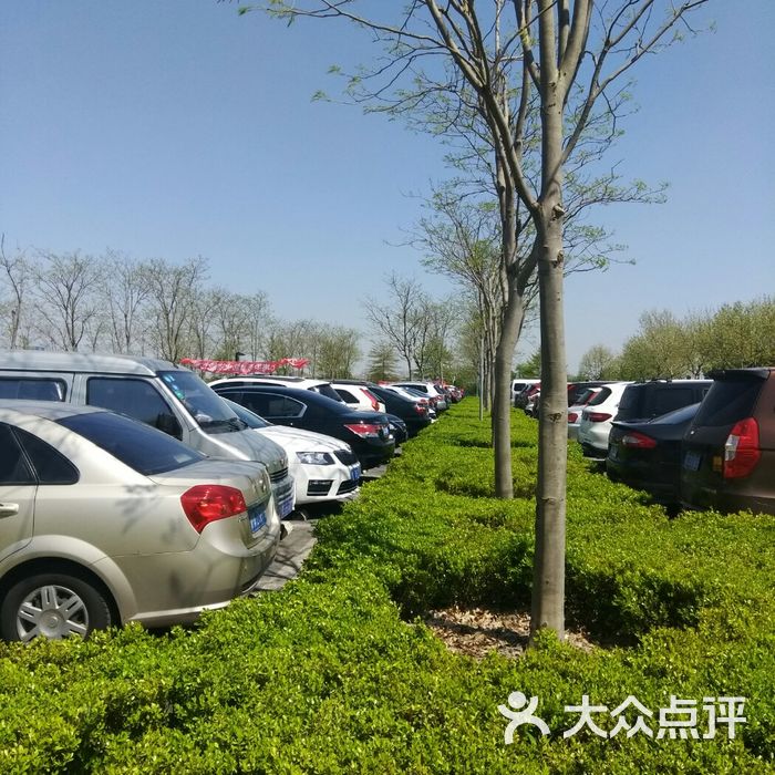 北京植物园一号停车场图片