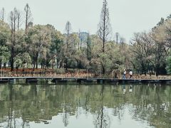 -柯岩风景区