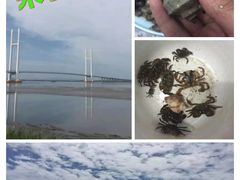 -大连老虎滩海洋公园