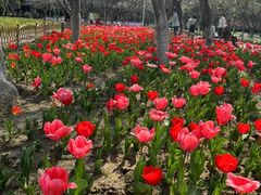 -白塘生态植物园