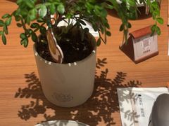 -CURRY YA 熟成咖哩專門店(深圳湾万象城店)